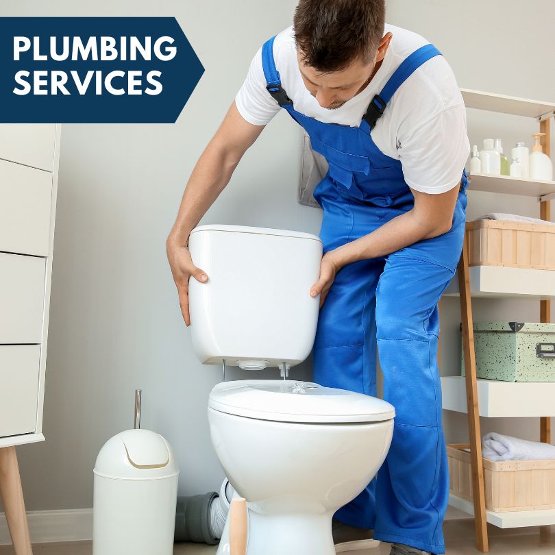Plumbing Company in Phillipsport, NY